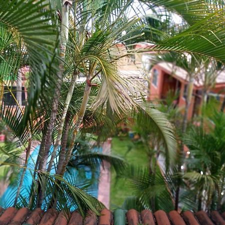 Posada Cocos Cuernavaca Bagian luar foto